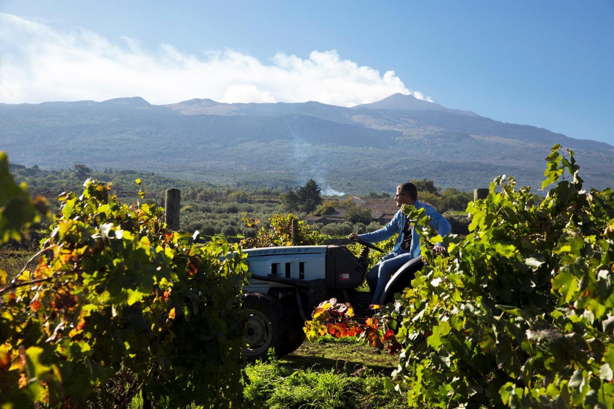 ランダッツォ Feudo Vagliasindi -Wine Experience-ゲストハウス エクステリア 写真