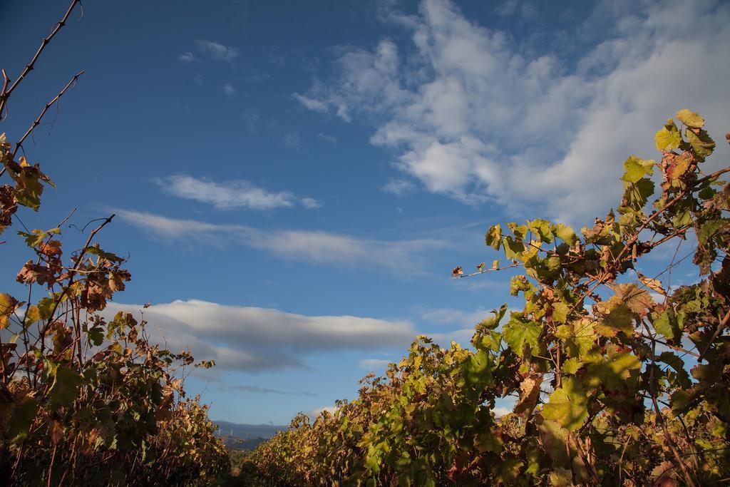 ランダッツォ Feudo Vagliasindi -Wine Experience-ゲストハウス エクステリア 写真