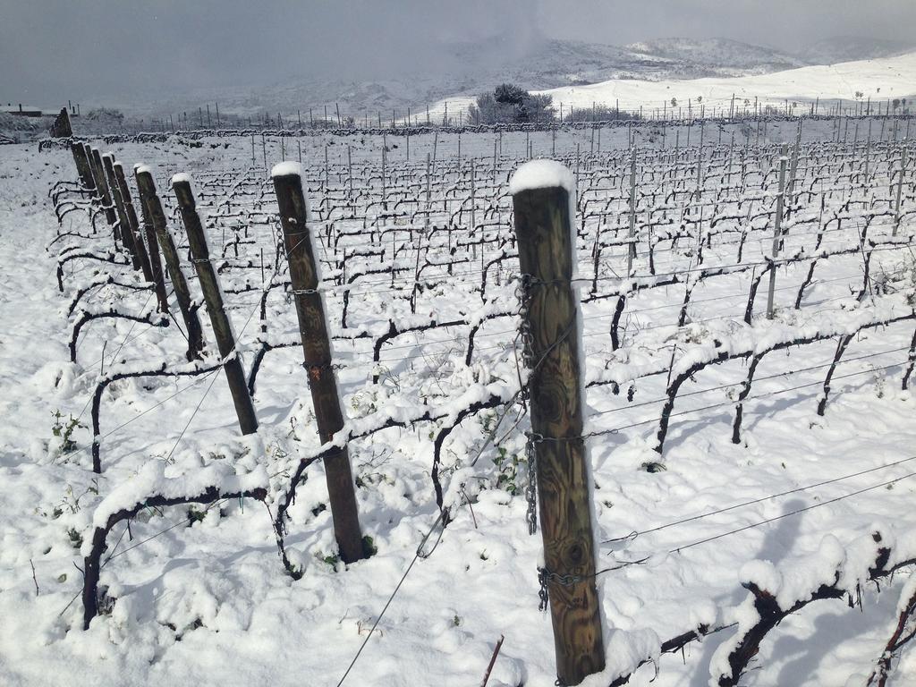 ランダッツォ Feudo Vagliasindi -Wine Experience-ゲストハウス エクステリア 写真