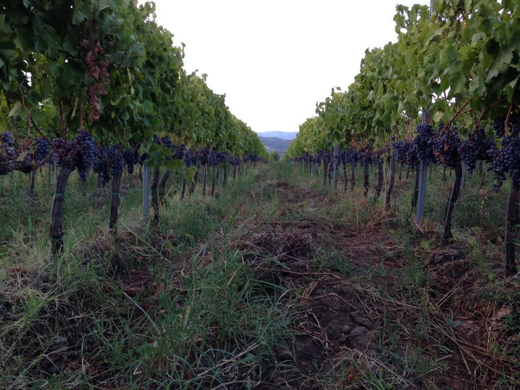 ランダッツォ Feudo Vagliasindi -Wine Experience-ゲストハウス エクステリア 写真